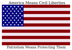 [America Means Civil Liberties / Patriotism Means Protecting Them / www.aclu.org/safefree ]